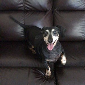 Meet your Posher, Luz